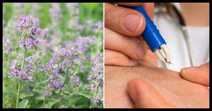 Protect Your Lawn Against Tick Invasion This Summer With 4 Simple, All-Natural Techniques Protect Your Lawn Against Tick Invasion This Summer With 4 Simple, All-Natural Techniques