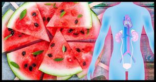 10 Amazing Health Benefits of Watermelons 10 Amazing Health Benefits of Watermelons