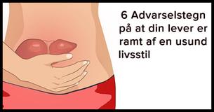 6 Tegn på at en usund livsstil påvirker din lever
6 Tegn på at en usund livsstil påvirker din lever