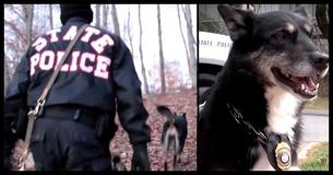 Cop Adopts Doomed Shelter Dog: Four Years Later, They Make Chilling Discovery In Woods Cop Adopts Doomed Shelter Dog: Four Years Later, They Make Chilling Discovery In Woods