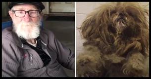 Dementia Patient Receives Unlikely Comfort from Daughter's Previously Neglected Foster Dog Dementia Patient Receives Unlikely Comfort from Daughter's Previously Neglected Foster Dog