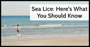 Sea Lice: What They Are And How To Avoid Sea Lice: What They Are And How To Avoid