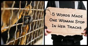 This Woman Tried To Ignore A Homeless Man, Until She Read These 5 Simple Yet Haunting Words On His Cardboard Sign This Woman Tried To Ignore A Homeless Man, Until She Read These 5 Simple Yet Haunting Words On His Cardboard Sign