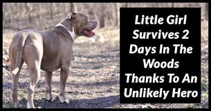 This Unlikely Hero Stayed By A Little Girl’s Side For 2 Days While She Was Lost In The Woods This Unlikely Hero Stayed By A Little Girl’s Side For 2 Days While She Was Lost In The Woods