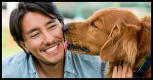 3 Schadelijke Consequenties Die Zich Kunnen Voordoen Wanneer Je Hond Je Gezicht Likt 3 Schadelijke Consequenties Die Zich Kunnen Voordoen Wanneer Je Hond Je Gezicht Likt
