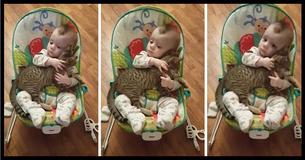 You Have To See How This Baby Reacts When His Mom Asks Him About The Cat He's Cuddling You Have To See How This Baby Reacts When His Mom Asks Him About The Cat He's Cuddling