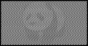 Studies Say Only 1% Of People Can Find The Animal In This Picture. Can You? Studies Say Only 1% Of People Can Find The Animal In This Picture. Can You?