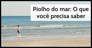 Piolhos do mar: o que são e como evitá-los Piolhos do mar: o que são e como evitá-los