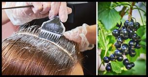 This Safer, Environmentally-Friendly Hair Dye Is Created From Blackcurrants This Safer, Environmentally-Friendly Hair Dye Is Created From Blackcurrants