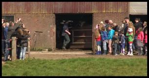 These Cows Were Locked Inside A Barn For 6 Months - When They Were Finally Released, The Video Went Viral These Cows Were Locked Inside A Barn For 6 Months - When They Were Finally Released, The Video Went Viral