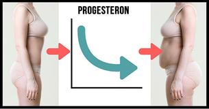 9 Hormonen Die Ervoor Zorgen Dat Je Aankomt En Hoe Je Dit Voorkomt 9 Hormonen Die Ervoor Zorgen Dat Je Aankomt En Hoe Je Dit Voorkomt