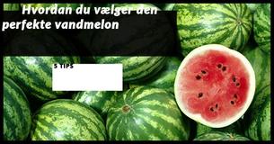5 Tips der vil hjælpe dig med at vælge den perfekte vandmelon hver gang
5 Tips der vil hjælpe dig med at vælge den perfekte vandmelon hver gang