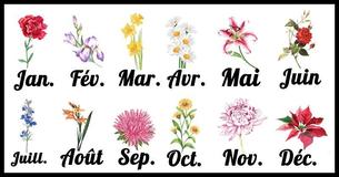 Voilà ce que révèle votre zodiaque floral à propos de la personne que voue êtes vraiment Voilà ce que révèle votre zodiaque floral à propos de la personne que voue êtes vraiment