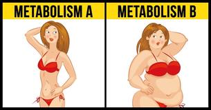 What A Metabolic Diet Is Like And Why It's Effective What A Metabolic Diet Is Like And Why It's Effective
