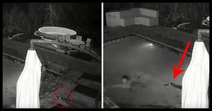 Caught On Tape: Crocodile Attacks Romantic Couple In Private Pool Caught On Tape: Crocodile Attacks Romantic Couple In Private Pool
