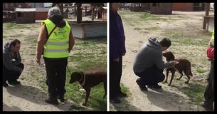 Depressed Dog Is Alone At Shelter For 2 Years, But Then Recognizes A Familiar Smell Depressed Dog Is Alone At Shelter For 2 Years, But Then Recognizes A Familiar Smell