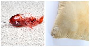 5 Simple Ways To Get Common Stains Out Of Anything 5 Simple Ways To Get Common Stains Out Of Anything