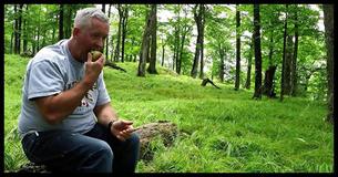 Man Sitting Alone In Forest Finds Himself Suddenly Surrounded By Unexpected Visitors Man Sitting Alone In Forest Finds Himself Suddenly Surrounded By Unexpected Visitors