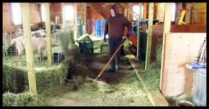 Farmer Sets Up A Camera, Records Video That Millions Are Now In Love With Farmer Sets Up A Camera, Records Video That Millions Are Now In Love With