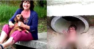 Woman And Dog Rescue A Baby Found In A Storm Drain Woman And Dog Rescue A Baby Found In A Storm Drain