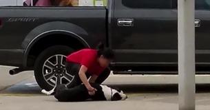 Sad Scene As Helpless Dogs Get Dragged Into A Shelter By Their Owner But What Follows Next Will Warm Your Heart Sad Scene As Helpless Dogs Get Dragged Into A Shelter By Their Owner But What Follows Next Will Warm Your Heart