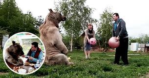 Childless Russian Couple Adopts Orphaned Bear When He Is 3 Months Old, Still Lives With Them 25 Years Later Childless Russian Couple Adopts Orphaned Bear When He Is 3 Months Old, Still Lives With Them 25 Years Later