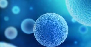 Your Cells Can Hear You - Talking To Your Body Can Actually Help You Heal Your Cells Can Hear You - Talking To Your Body Can Actually Help You Heal