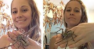 This Woman Raises 5 Deadly Spiders And Claims Them As Her Pets This Woman Raises 5 Deadly Spiders And Claims Them As Her Pets