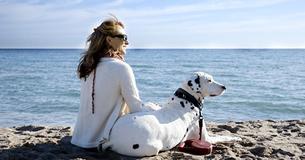 New Study Proves That People Love Dogs More Than They Love Other People New Study Proves That People Love Dogs More Than They Love Other People