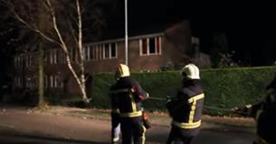 Firemen Pulling Down Tree Feel Tug On The Rope And Turn To Suddenly See A Hilarious Sight Behind Them Firemen Pulling Down Tree Feel Tug On The Rope And Turn To Suddenly See A Hilarious Sight Behind Them