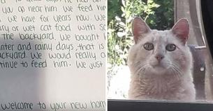 After Reading Note Left Behind By Old Homeowners, New Family Finds Cat Peeking In After Reading Note Left Behind By Old Homeowners, New Family Finds Cat Peeking In