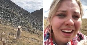 Dog Takes Off Running After Car Accident That Kills Girl's Mother, The Moment She Found Him Weeks Later Was Captured On Video Dog Takes Off Running After Car Accident That Kills Girl's Mother, The Moment She Found Him Weeks Later Was Captured On Video