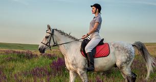 Women Who Own Horses... Women Who Own Horses...