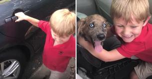 This Viral Video Of A Little Boy Meeting A Rescue Puppy Is The Most Adorable Thing You Will Ever See This Viral Video Of A Little Boy Meeting A Rescue Puppy Is The Most Adorable Thing You Will Ever See