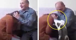 Video Footage Shows Brave Cat Jumping To His Owner's Rescue When Her Husband 'Attacks' Her Video Footage Shows Brave Cat Jumping To His Owner's Rescue When Her Husband 'Attacks' Her