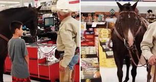 Cowboy Parades Through Aisles With His Horse In Store And Causes A Commotion Cowboy Parades Through Aisles With His Horse In Store And Causes A Commotion