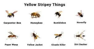 The Only Guide to The Only Guide to