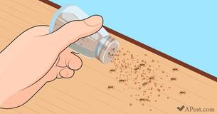 7 Methods To Get Rid Of Insects in Your House (And They Actually Work ) 7 Methods To Get Rid Of Insects in Your House (And They Actually Work )