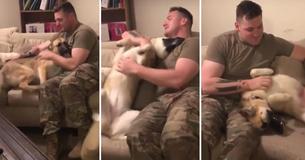 Heartwarming Moment Shows German Shepherd Reunited With Her Soldier Owner After 9 Long Months Apart Heartwarming Moment Shows German Shepherd Reunited With Her Soldier Owner After 9 Long Months Apart