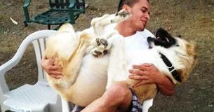 Airline Tries To Refuse Two Dogs That A Soldier Rescued, So A Millionaire Stepped In To Help Airline Tries To Refuse Two Dogs That A Soldier Rescued, So A Millionaire Stepped In To Help