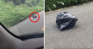 Woman Notices A Moving Trash Bag On The Side Of The Road - You Won't Believe What's Inside Woman Notices A Moving Trash Bag On The Side Of The Road - You Won't Believe What's Inside