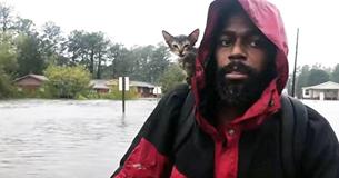 This Soaking Wet Kitten Clings To Her Rescuer's Shoulder After Surviving Hurricane This Soaking Wet Kitten Clings To Her Rescuer's Shoulder After Surviving Hurricane