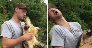 Snapping Turtle Viciously Bites Man's Nose Snapping Turtle Viciously Bites Man's Nose