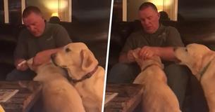 Dog Gets Jealous Of Sister's Ear Medicine, So Owner Pretends He Needs It Too Dog Gets Jealous Of Sister's Ear Medicine, So Owner Pretends He Needs It Too