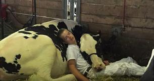 Story Behind Viral Photo of Boy Sleeping in Stall With Cow Will Melt Your Heart Into a Puddle Story Behind Viral Photo of Boy Sleeping in Stall With Cow Will Melt Your Heart Into a Puddle