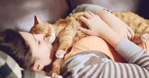 What It Means When Your Cat Curls Up On The Couch With You - Plus 5 More Behaviours And The Meaning Behind Them What It Means When Your Cat Curls Up On The Couch With You - Plus 5 More Behaviours And The Meaning Behind Them