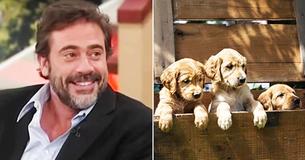 Hollywood Star Asks For The Least Adoptable Animal And Rescues It Hollywood Star Asks For The Least Adoptable Animal And Rescues It