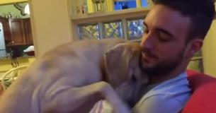 He Scolds His Guilty Dog Then Erupts In Laughter At The Dog's Abrupt He Scolds His Guilty Dog Then Erupts In Laughter At The Dog's Abrupt