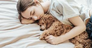 Veterinarian Reveals: Owners are to Blame for the Discomfort of their Euthanized Pets Veterinarian Reveals: Owners are to Blame for the Discomfort of their Euthanized Pets