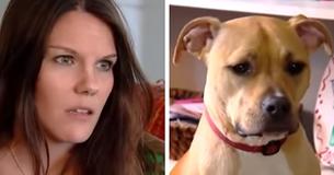 Odd Grumble From Pit Bull Awakens Mother From Sleep And Prompts Her To Check Son - Only To Discover Dogs Actions Odd Grumble From Pit Bull Awakens Mother From Sleep And Prompts Her To Check Son - Only To Discover Dogs Actions